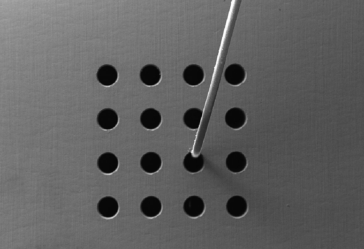 scanlab precsys laser micro processing