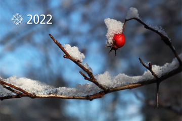 Merry Christmas 2022