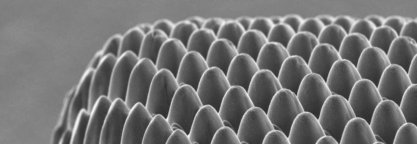 Micromachining - textured steel surface